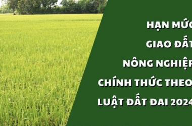 HẠN MỨC GIAO ĐẤT NÔNG NGHIỆP CHÍNH THỨC THEO LUẬT ĐẤT ĐAI 2024