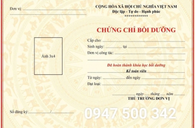 Học chứng chỉ kế toán viên: Bước đệm vững chắc cho sự nghiệp tài chính