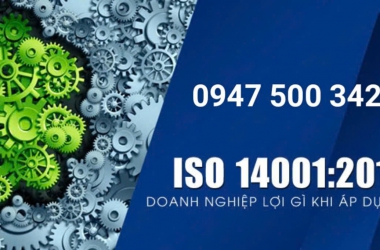 Dịch Vụ Tư Vấn ISO 14001:2015 – Hệ Thống Quản Lý Môi Trường Hiệu Quả