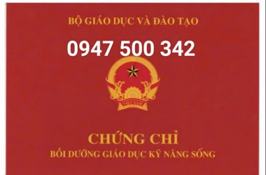 Chứng Chỉ Giáo Dục Và Kỹ Năng Sống - Chìa Khóa Thành Công Cho Tương Lai