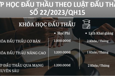 Khoá học đấu thầu cơ bản mới nhất 